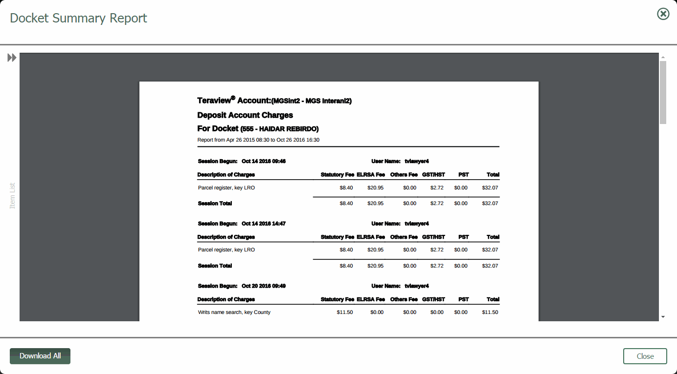 The Docket Summary Report