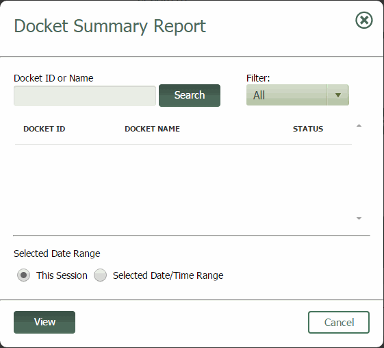 Docket Summary Report Window