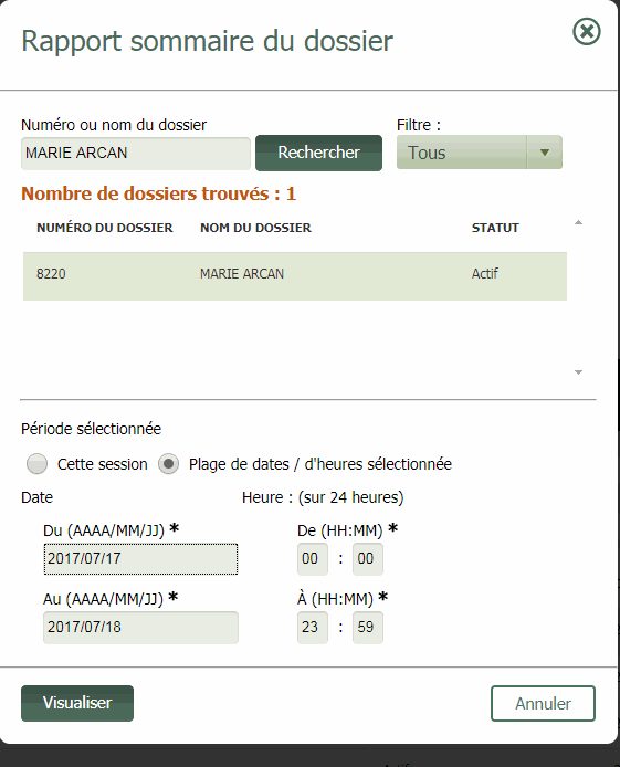 Fenêtre Rapport sommaire du dossier remplie
