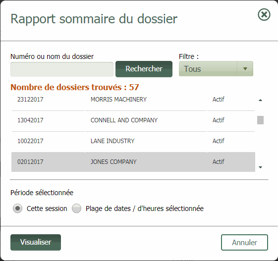 Fenêtre Rapport sommaire du dossier